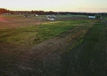 IMG_2496-650x350